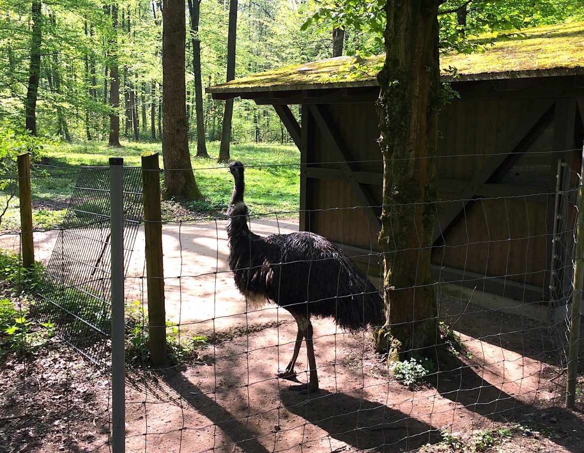 Karlsruhe Tierpark Oberwald