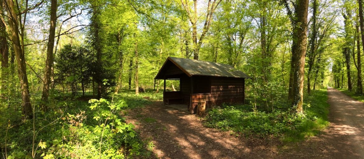 Kleine Hütte mitten im Karlsruher Wald
