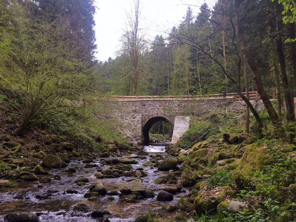 Brücke oberhalb des Bütthofs