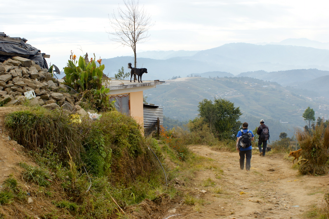 Trekking with dogs in Nepal, Himalaya, Shivapuri National Park