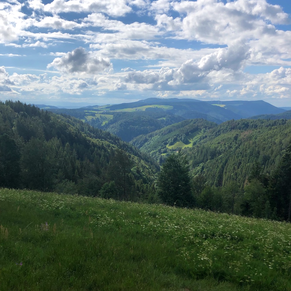 Schwarzwald (Black Forest)